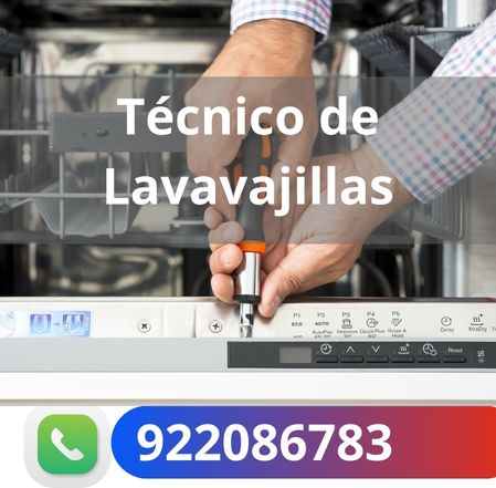 Técnico de lavavajillas